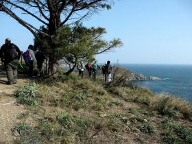 photo coins arrondis